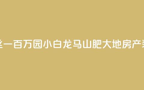 快手粉丝一百万0.01园小白龙马山肥大地房产装修网站,快手粉丝都是老头粉怎么办 - 抖音秒刷最低网站 ds抖音粉 第1张