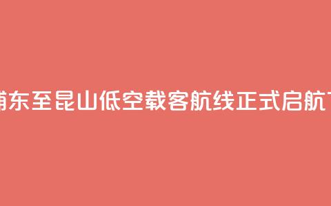 上海浦东至昆山低空载客航线正式启航 第1张