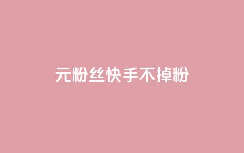 1元3000粉丝快手不掉粉,抖音点赞1元100个关注 - 王者人气值网站最便宜 24小时自助下单商城 第1张