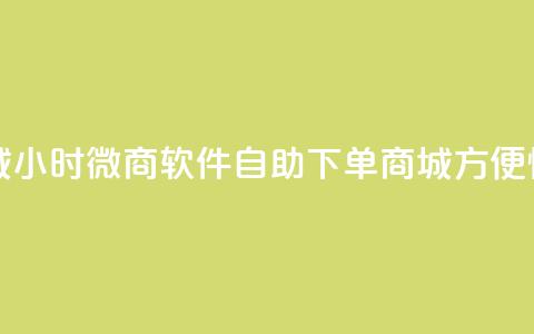 24小时微商软件自助下单商城 - 方便快捷的微商下单平台~ 第1张