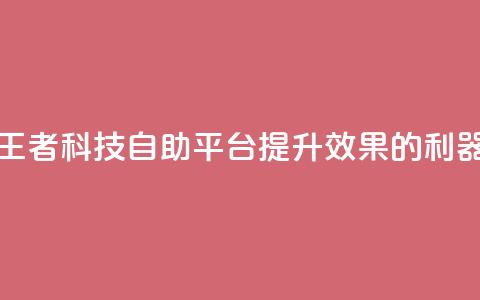 王者科技自助平台：提升SEO效果的利器 第1张