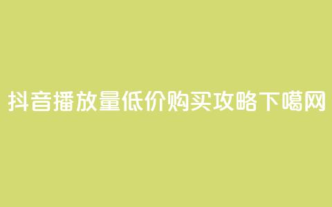 抖音播放量低价购买攻略 第1张