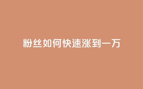 粉丝如何快速涨到一万,qq自助平台全网最低 - 卡盟低价自助下单科技 拼多多上粉丝是怎么来的 第1张