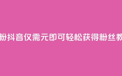 抖音1元刷1000粉 - 抖音仅需1元即可轻松获得1000粉丝教程。 第1张