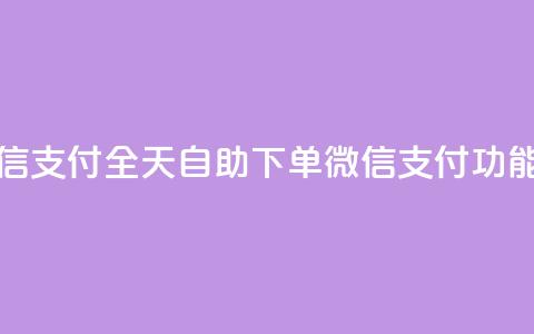 ks全天自助下单微信支付 - ks全天自助下单微信支付功能全面升级! 第1张