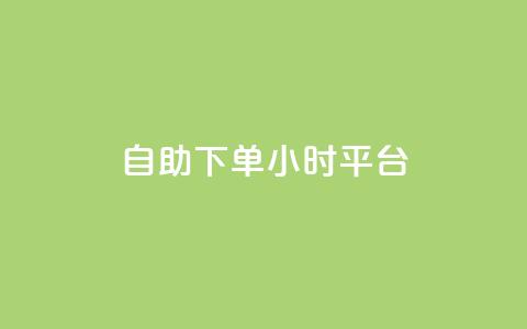 自助下单24小时平台 - 24小时自助下单平台，方便快捷服务。 第1张