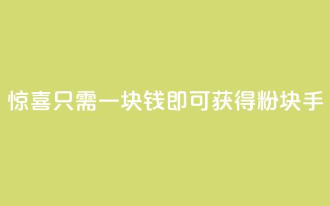 惊喜！只需一块钱，即可获得1000粉块手！ 第1张