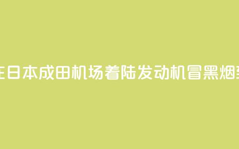 新航波音客机在日本成田机场着陆 发动机冒黑烟致跑道一度关闭 第1张