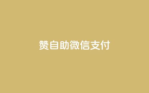 Ks赞自助微信支付,K歌免费涨1000粉丝 - 全网最低价业务平台快手业务 抖音涨粉有哪些app 第1张