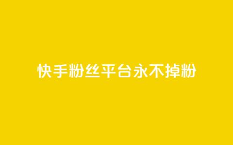 快手粉丝平台+永不掉粉,抖音有效涨粉网站 - 抖音1:10充值入口 快手买站一块钱1000粉 第1张