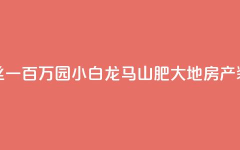 快手粉丝一百万0.01园小白龙马山肥大地房产装修网站,黑科网怎么下载软件安装 - 在线下单自助 QQ空间浏览次数代刷 第1张