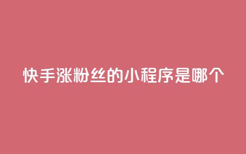 快手涨粉丝的小程序是哪个,彩虹自助下单24 - 抖音业务下单点赞24小时 qq空间访问刷人气网站 第1张