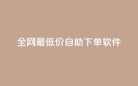 全网最低价自助下单软件,ks自动下单平台 - qq赞0.1元一万 qq号自助下单 第1张