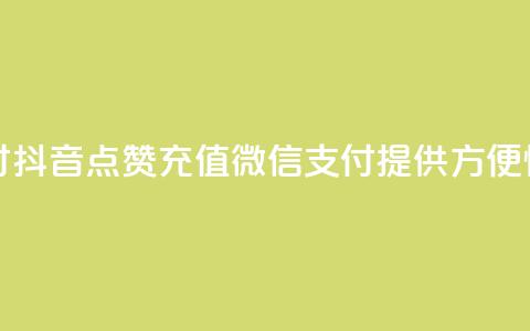 抖音点赞充值微信支付 - 抖音点赞充值微信支付：提供方便快捷的充值方式~ 第1张