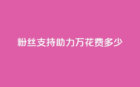 粉丝支持助力 100万，花费多少？ 第1张