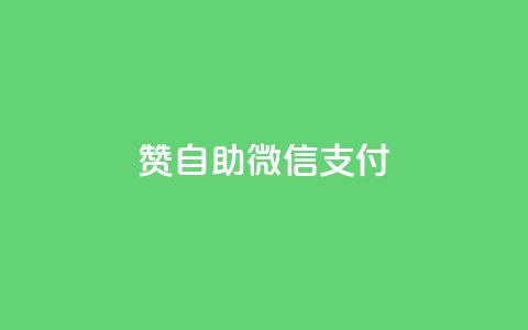 Ks赞自助微信支付 - 使用微信支付的Ks赞自助服务，简单方便！~ 第1张