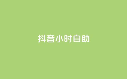 抖音24小时自助,抖音24小时自助服务平台免费 - 快手业务区免费 1元1000粉 下单平台 第1张