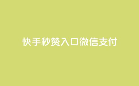 快手秒赞入口微信支付,评论点赞业务 - ks业务24小时在线下单免费 QQ空间浏览访客购买网站 第1张