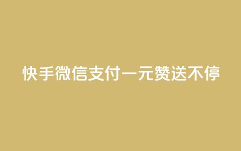 快手微信支付：一元赞送不停 第1张