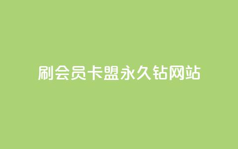 刷会员卡盟永久钻网站 - 永久钻刷会员卡盟网站：畅享会员特权，提高网站排名~ 第1张