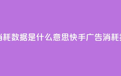 快手推广消耗数据是什么意思(快手广告消耗报告) 第1张