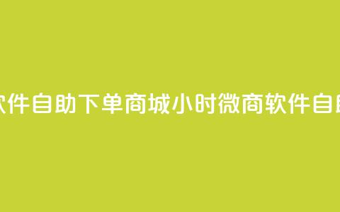 24小时微商软件自助下单商城 → 24小时微商软件自助购物平台 第1张