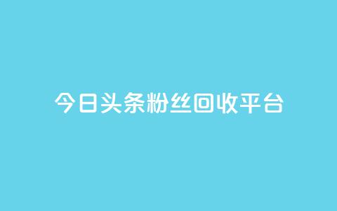 今日头条粉丝回收平台,1元涨100赞快手网站 - 拼多多充抖音为什么还贵点 qq空间人气自助 第1张