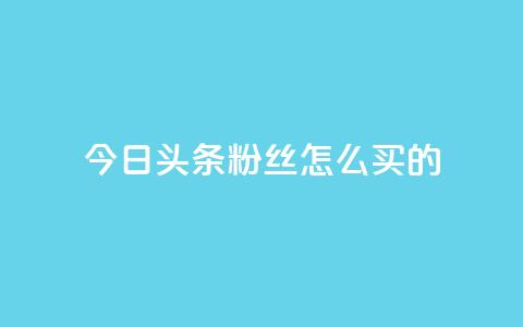 今日头条粉丝怎么买的 - vip影视会员一手货源批发 第1张