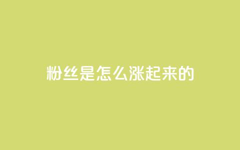 粉丝是怎么涨起来的,qq空间点赞自助 - qq空间说说刷转发数量 qq自助平台全网最低 第1张