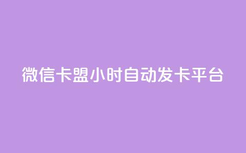 微信卡盟24小时自动发卡平台 - 24小时自动发卡，助力微信卡盟! 第1张