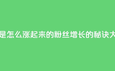 粉丝是怎么涨起来的(粉丝增长的秘诀大揭密) 第1张