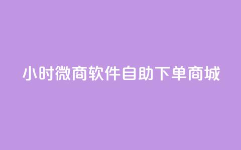 24小时微商软件自助下单商城,快手业务平台24小时在线 - 免费刷大量访客的网站 QQ空间人气精灵 第1张