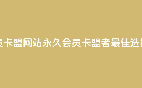 永久qq会员卡盟网站 - 永久QQ会员卡盟者：最佳选择~ 第1张