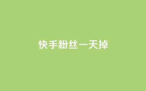 快手粉丝一天掉500 - 快手粉丝每天锐减500，成果靠SEO优化能挽回吗？! 第1张