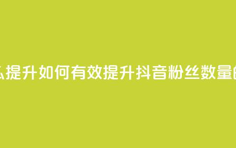 抖音有效粉丝怎么提升 - 如何有效提升抖音粉丝数量的方法分享！ 第1张