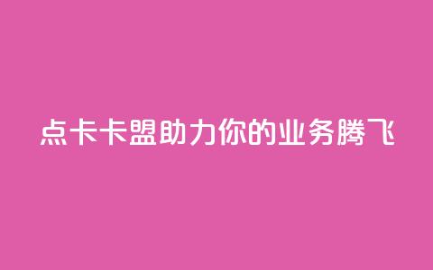 点卡卡盟：助力你的业务腾飞 第1张