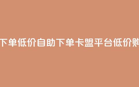 卡盟平台自助下单低价 - 自助下单：卡盟平台低价购买指南~ 第1张