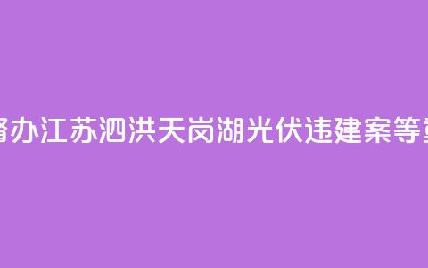 两部门联合挂牌督办江苏泗洪天岗湖光伏违建案等重大疑难复杂案件 第1张