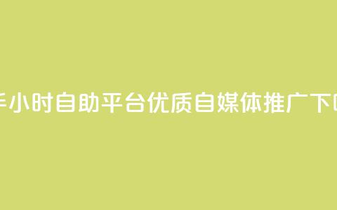 快手24小时自助平台——优质自媒体推广 第1张