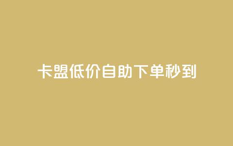 卡盟低价自助下单秒到 - 卡盟自助下单快速到账！ 第1张