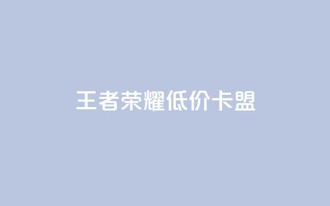 王者荣耀低价卡盟,抖音下单点赞软件 - 彩虹系统官方网站 Dy冲值 第1张