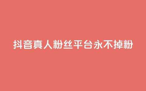 抖音真人粉丝平台 永不掉粉,二十四小时自助下单商城 - ks业务专区 快手业务24小时自助服务 第1张