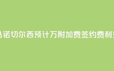 罗马诺：切尔西预计3400万+附加费签约费利克斯 第1张