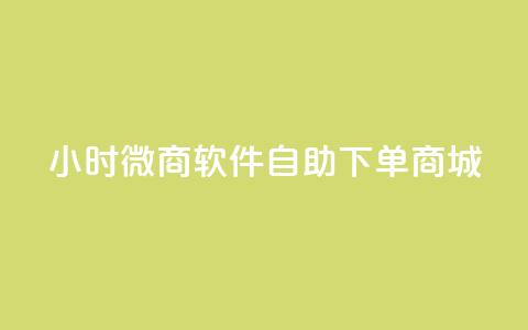 24小时微商软件自助下单商城 - 24小时自助下单微商商城软件推荐！ 第1张