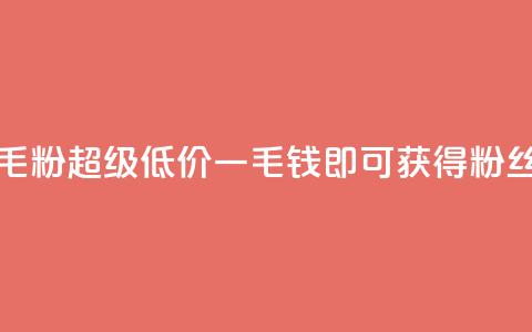 低价Ks一毛1000粉(超级低价，一毛钱即可获得1000粉丝) 第1张