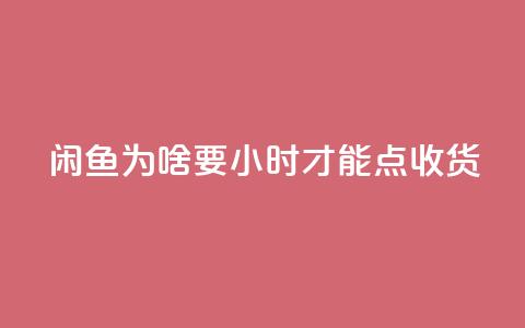 闲鱼为啥要24小时才能点收货,QQ空间访客12万 - 免费领1万播放量网站 抖音全自动挂机项目 第1张