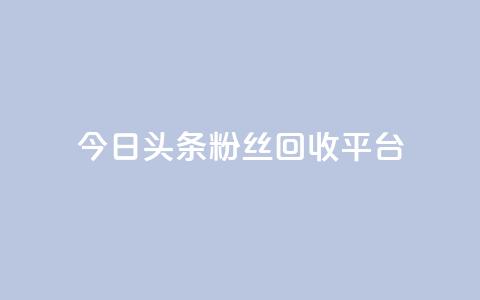 今日头条粉丝回收平台 - 免费业务自助下单网站 第1张