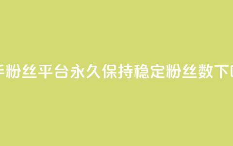 快手粉丝平台永久保持稳定粉丝数 第1张