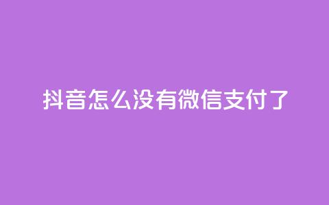 抖音怎么没有微信支付了 - 抖音为何取消微信支付功能的原因分析! 第1张