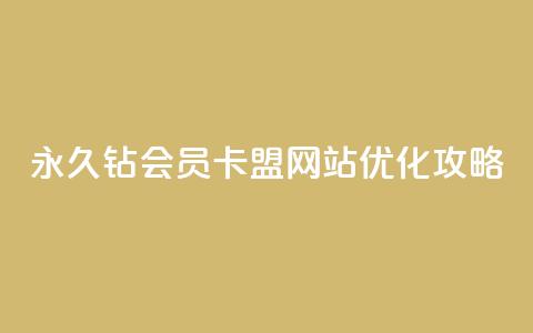 永久钻会员卡盟网站优化攻略 第1张